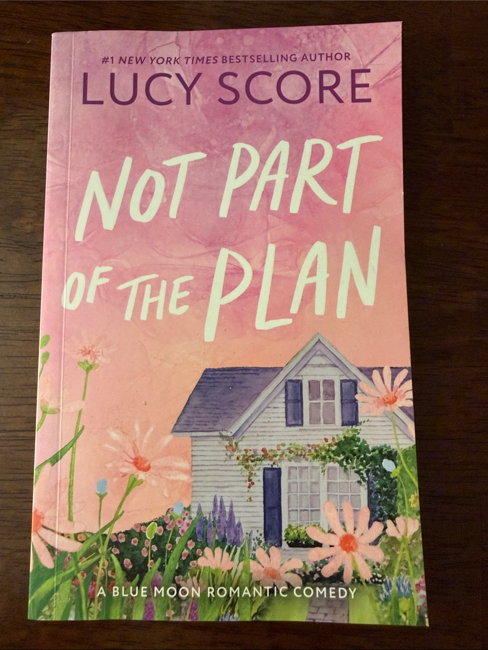 Not Part of the Plan — Pink Paperback Romantic Comedy